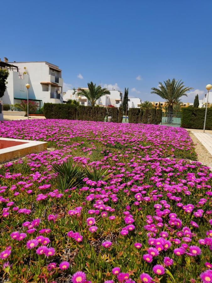Casa Baja Naturista Con Patio En Primera Linea De Playa Con Piscina Comunitaria! L'Île-Rousse Dış mekan fotoğraf